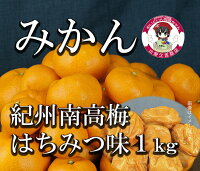 返礼品画像
