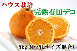 【ふるさと納税】【ハウス栽培】完熟有田デコ(不知火)約4kg(L〜5Lサイズ混合)※お届け日指定不可※2019年3月上旬〜4月中旬頃に順次発送予定
