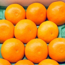 【ふるさと納税】【限定】【2026年先行予約】 湯浅町産 高級せとか 約3kg サイズおまかせ