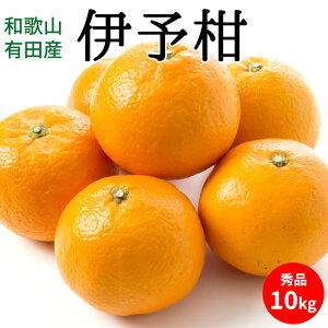 yӂ邳Ɣ[Łzy2026Ns\zɗ\ Gi 10kg a̎RLcYy悩 k a̎RYz