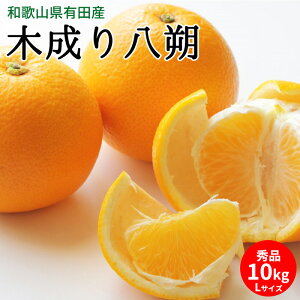 yӂ邳Ɣ[Łzy2026Ns\zؐ蔪 Gi 10kg LTCY a̎RLcYy͂ nbTN  a̎Rz