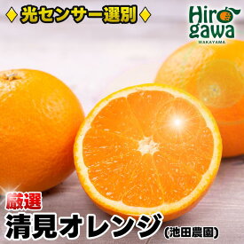 【ふるさと納税】 清見 オレンジ 厳選 光センサー / 清見オレンジ 清見タンゴール きよみ 清美 甘い 高級 和歌山 柑橘 5kg 10kg 5000円 ※2月上旬～6月上旬に順次発送 ※北海道・沖縄・離島への配送不可 //dekopon