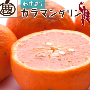 yӂ邳Ɣ[Łz J}_ ƒp / J JIW J݂ ÊC Ȃ 󂠂 a̎R Lc k ӊ 6000~ 9000~ 3kg 5kg 4{`5 kCEEւ