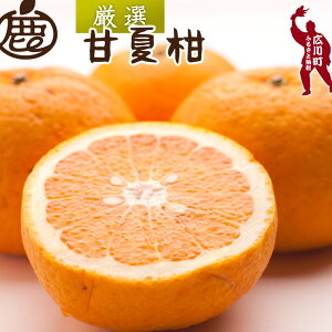 yӂ邳Ɣ[Łz ÉĊ I ZT[ I / ݂ Â  k ӊ a̎R Lc 4{`6{ɏ\ kCEEւ̔zs //hassaku