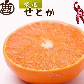 【ふるさと納税】 厳選 せとか 光センサー / 甘い 和歌山 柑橘 1kg 5kg 10kg ※2月中旬〜3月下旬頃発送 ※北海道・沖縄・離島への配送不可 //dekopon