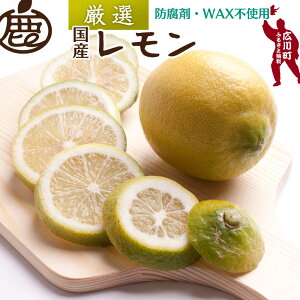 yӂ邳Ɣ[Łz   I / Y a̎R Lc k h܁EWAXsgp 5000~ 9{`N6{ɏ kCEEւ̔zs //lemon