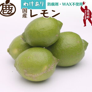 yӂ邳Ɣ[Łz   ƒp / Y 󂠂 a̎R Lc k h܁EWAXsgp 5000~ 9{`6{ɏ kCEEւ̔zs //lemon