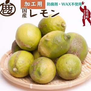 yӂ邳Ɣ[Łz   Hp / Y ʏ`p a̎R Lc k h܁EWAXsgp 5000~ 5kg 10kg 9{`6{ɏ kCEEւ̔zs //lemon