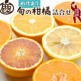 【ふるさと納税】 柑橘 詰合せ 訳あり 光センサー / みかん 不知火 清見 八朔 伊予間 セミノール レモン 3種類以上 詰め合わせ 晩柑 5000円 8000円 5kg 10kg ※1月上旬〜6月上旬に順次発送 ※北海道・沖縄・離島への配送不可 //hassaku