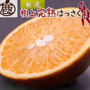 yӂ邳Ɣ[Łz  n ͂ I ZT[ /   ؂Ȃ Â a̎R Lc k 5000~ 7000~ 5kg 10kg 4{`5{ɏ kCEEւ̔zs //hassak
