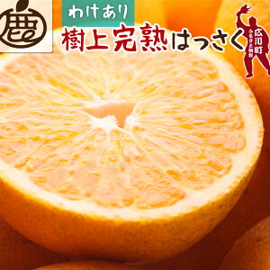yӂ邳Ɣ[Łz  n ͂ ƒp ZT[ /  󂠂 ؂Ȃ Â a̎R Lc k 5000~ 6000~ 5kg 10kg 4{`5{ɏ kCEEւ̔zs //
