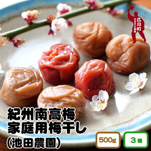 yӂ邳Ɣ[Łzƒp ~ 500g / IB썂~ Ȃ񂱂~ Ԃ~ Ԃ~ ƒp 킯 󂠂 썂~  ~y䂤pPbgւŃ|Xgz //plum
