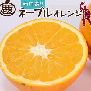 yӂ邳Ɣ[Łz l[u IW 󂠂 ZT[ I / ƒp Â a̎R k 1kg 5kg 10kg 2{`3{ɏ\ kCEEւ̔zs //dekopon