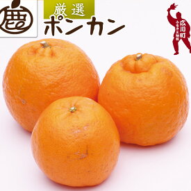 【ふるさと納税】 厳選 ポンカン 1kg 2.5kg 5kg 7.5kg 10kg 【 光センサー 食頃出荷】【人気の 柑橘 】 ※1月中旬〜2月下旬頃に順次発送予定 ※北海道・沖縄・離島への配送不可 //dekopon
