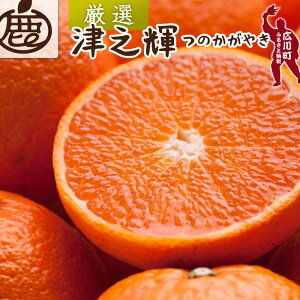 yӂ邳Ɣ[Łz ÔVP I ZT[ I /  Â ̂₫ a̎R k 1kg 5kg 10kg 2{`3{ɏ\ kCEEւ̔zs //dekopon