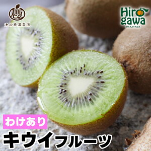 yӂ邳Ɣ[Łz LEC ƒp / LECt[c 󂠂 a̎R 1kg 3kg 5kg 5000~ 2025N11{`2026N6{ɏ kCEEւ̔zs //hokaf