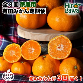 【ふるさと納税】 家庭用 有田 みかん 定期便 【全3回】 / 温州みかん 有田みかん 甘い 訳あり 和歌山 有田 1kg 5kg 10kg ※北海道・沖縄・離島への配送不可 //teiki