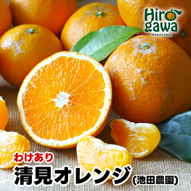 【ふるさと納税】 清見 オレンジ 家庭用 光センサー / 訳あり 清見オレンジ 清見タンゴール きよみ 清美 甘い 和歌山 柑橘 5000円 7000円 10000円 ※2月上旬～6月上旬に順次発送 ※北海道・沖縄・離島への配送不可 //dekopon