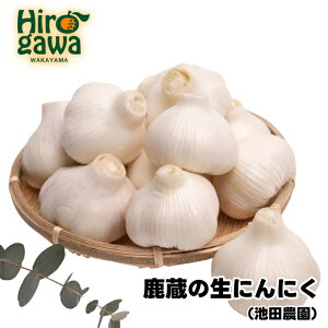 yӂ邳Ɣ[Łz  ɂɂ / ɂɂ Y I ƒp 500g 1kg 2kg 5000~ 5{`5{ɏ kCEEւ̔zs //vegi