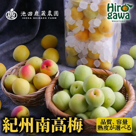 【ふるさと納税】 南高梅 青梅 黄梅 冷凍梅 梅シロップキット / 梅 梅シロップ 梅酒 梅干し 和歌山 紀州 1kg 2kg 5000円 ～※北海道・沖縄・離島への配送不可 //hokaf