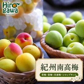 【ふるさと納税】 南高梅 選べる( 青梅 黄梅 冷凍梅 梅シロップ キット ) / 梅 梅酒 梅干し 和歌山 紀州 1kg 2kg 5000円 ～ ※北海道・沖縄・離島への配送不可 //hokaf
