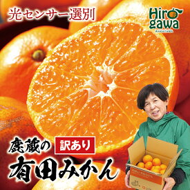 【ふるさと納税】 鹿蔵の 有田 みかん 訳あり 光センサー 選果 / 有田みかん 温州みかん 甘い 家庭用 和歌山 柑橘 お試し 送料無料 2.5kg 5kg 10kg 5000円 6000円 ※10月～1月下旬順次発送 ※北海道・沖縄・離島への配送不可 //mandarin //goku