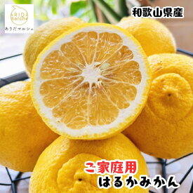 【ふるさと納税】 【先行予約】 【人気柑橘】 有田 育ちの はるか みかん（ 訳あり 家庭用 ） / 柑橘 果物 フルーツ 和歌山 ※2027年1月下旬～2月下旬に順次発送 ※北海道・沖縄・その他離島地域は発送不可 //dekopon