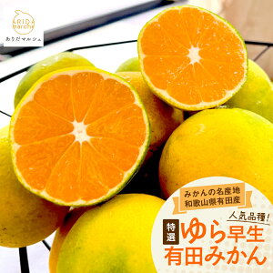 yӂ邳Ɣ[Łzys\z I! 瑁 Lc݂ / ݂ a̎R Lc k 2025N10{`2025N10{ kCEȆn͔s //mandarin //goku