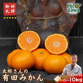 【ふるさと納税】 有田みかん 選べる ( 小玉 MLサイズ 大玉 ) / 有田 みかん 温州みかん 甘い 小粒 和歌山 柑橘 2kg 5kg 10kg 6000円 10000円 ※12月上旬〜翌年1月上旬に順次発送 //mandarin