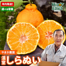 【ふるさと納税】 不知火 ハウス栽培 / しらぬい 甘い 和歌山 柑橘 贈答 歳暮 3kg 8000円 ※2026年11月下旬〜2026年12月下旬頃までに順次発送 //dekopon