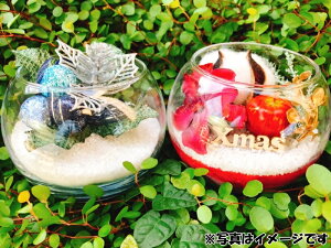 yӂ邳Ɣ[ŁzOXThA[g NX}XeEij kCEEւ̔zs / CeA u v[g Christmas NX}X 蕨  ~ //zakka