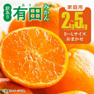【ふるさと納税】 ご家庭用 有田みかん 和歌山県産 S〜Lサイズ 大きさお任せ 選べる 配送月 容量 2kg 〜 5kg 【訳あり】 ※10月〜翌年1月に順次発送予定 / ミカン 蜜柑 柑橘 温州みかん 和歌山