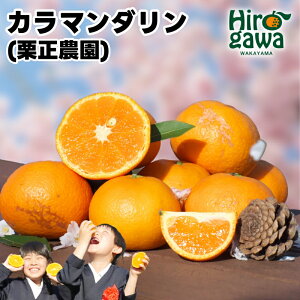 yӂ邳Ɣ[Łz ^J J}_ ƒp 5kg TCY܂ M`2L / J JIW J݂ 󂠂 a̎R Lc k 10000~ 4{`5ɏ //hassaku