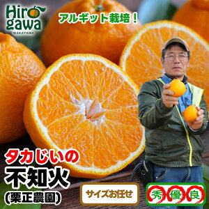 yӂ邳Ɣ[Łz ^J sm ( ʂ j / fR| Â a̎R Lc k 3kg 5kg 3{`3{ɏ //dekopon