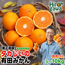 【ふるさと納税】 タカじいの 有田みかん 小玉 大玉 サイズ混合 / 温州みかん 有田 みかん 甘い 家庭用 和歌山 柑橘 3kg 5kg 10kg 7000円 10000円 ※10月～翌年1月順次発送 //mandarin