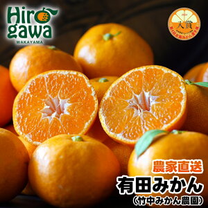 yӂ邳Ɣ[Łz Lc݂ 3kg 5kg 10kg TCY 10000~ 11`12{ɏ / ݂  k ʕ t[c  ʎ //mandarin