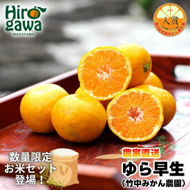 【ふるさと納税】 有田みかん ゆら 早生 3kg 5kg 小玉 サイズ混合 ※2026年11月上旬～12月上旬に順次発送 / みかん 柑橘 果物 フルーツ くだもの 果実 //mandarin