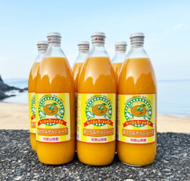 【ふるさと納税】 和歌山有田産100%温州みかんジュース 970ml セット / みかん ジュース 有田みかん フルーツ ドリンク //drink