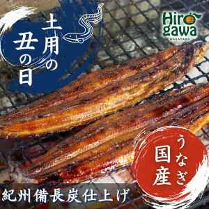 yӂ邳Ɣ[Łz Ȃ Ă ( Y ) IBYŏĂグY / V Y ȂĂ Ș ȏd //fish
