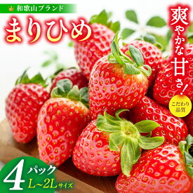 【ふるさと納税】 まりひめ いちご 12粒～15粒入り 【選べるパック数】 ※離島への配送不可 ※1月中旬～3月中旬頃に順次発送予定 / 苺 フルーツ 果物 くだもの 和歌山 //hokaf