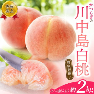 yӂ邳Ɣ[Łzy2026Nz 쒆  Gi 2kg /   Â  I a̎R 2026N7菇\ ւ̔zs //hokaf