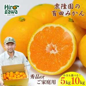 yӂ邳Ɣ[Łz Lc ݂  TCY / Lc݂ B݂ Â Gi ƒp a̎R k 5kg 10kg 10000~ ` 11{`N1 //mandarin