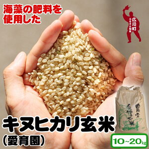 yӂ邳Ɣ[Łz LkqJ  C{p 20kg 10菇\ /  N _CGbg  ܂ a̎R Lc //vegi