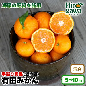 yӂ邳Ɣ[Łz Lc݂ 5kg 10kg 11000~ 16000~ C{p I 11{1{ɏ / B݂ ݂ k  ʕ ʎ t[c a̎R IB Lc //mandarin