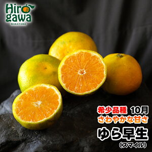 yӂ邳Ɣ[Łz RǑ ݂ 󂠂 Gi / 瑁 B݂ ɑ Â ƒp a̎R k 3kg 5kg 10kg 9000~ 10{`11{ kCEEւ̔zs //gok