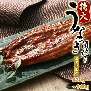 yӂ邳Ɣ[Łz Ȃ  i^ERtj 1 215g`240g̃rbOTCY yzIׂz / TCY Zbg V YΏĂ yp̉N zs //fish