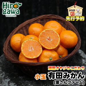 yӂ邳Ɣ[Łz ŃIW Lc ݂  5kg / B݂ Lc݂ Â  Ⴂ ƒp 󂠂 a̎R k 11{菇 //mandarin