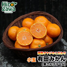 【ふるさと納税】 頑固オヤジの 有田 みかん 小玉 5kg / 温州みかん 有田みかん 甘い 小粒 ちっちゃい 家庭用 訳あり 和歌山 柑橘 ※11月中旬より順次発送 //mandarin