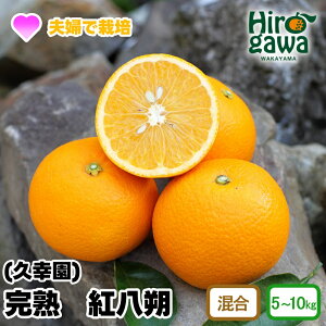 yӂ邳Ɣ[Łz n g  5kg 7kg 10kg 10000~ 13000~ 17000~ vK 3{`4{ɏ\ / g ͂ ㊮n n ؐ k ʕ  t[c ݂ a