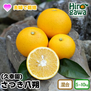 yӂ邳Ɣ[Łz n   5kg 7kg 10kg 10000~ 13000~ 17000~ vK 4{`5{ɏ\ /  ͂ ㊮n n ؐ k ʕ  t[c 